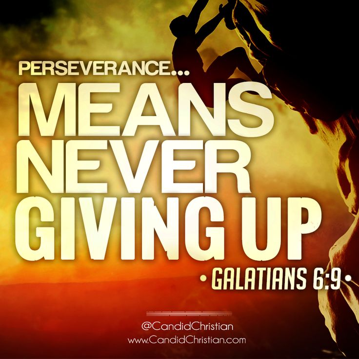 never give up graphic