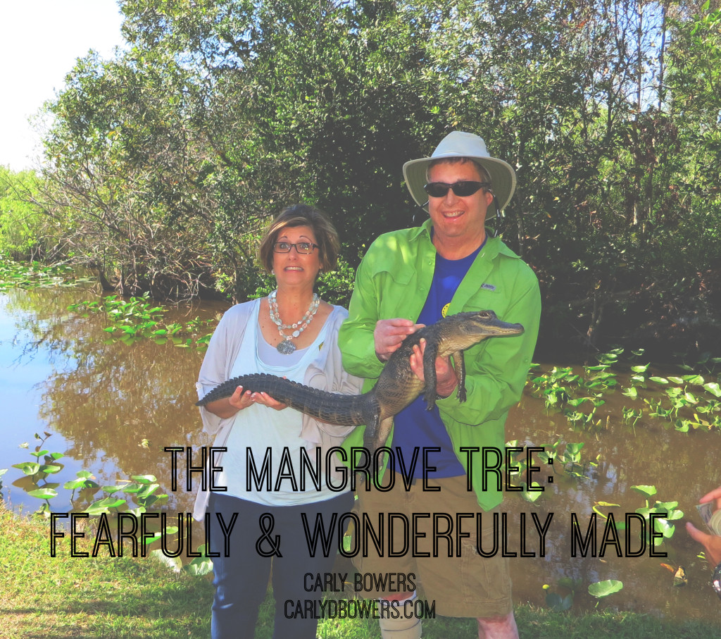 The Mangrove Tree: Fearfully & Wonderfully Made